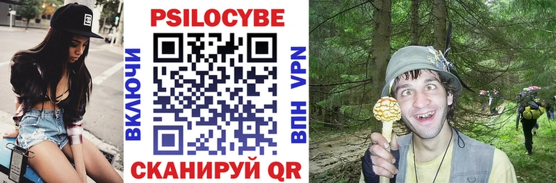 Псилоцибиновые грибы GOLDEN TEACHER  купить закладку  Ядрин 